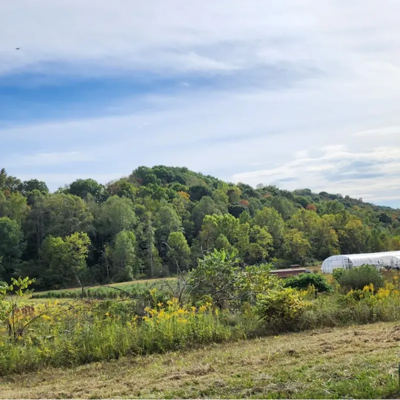 The farm from the road.