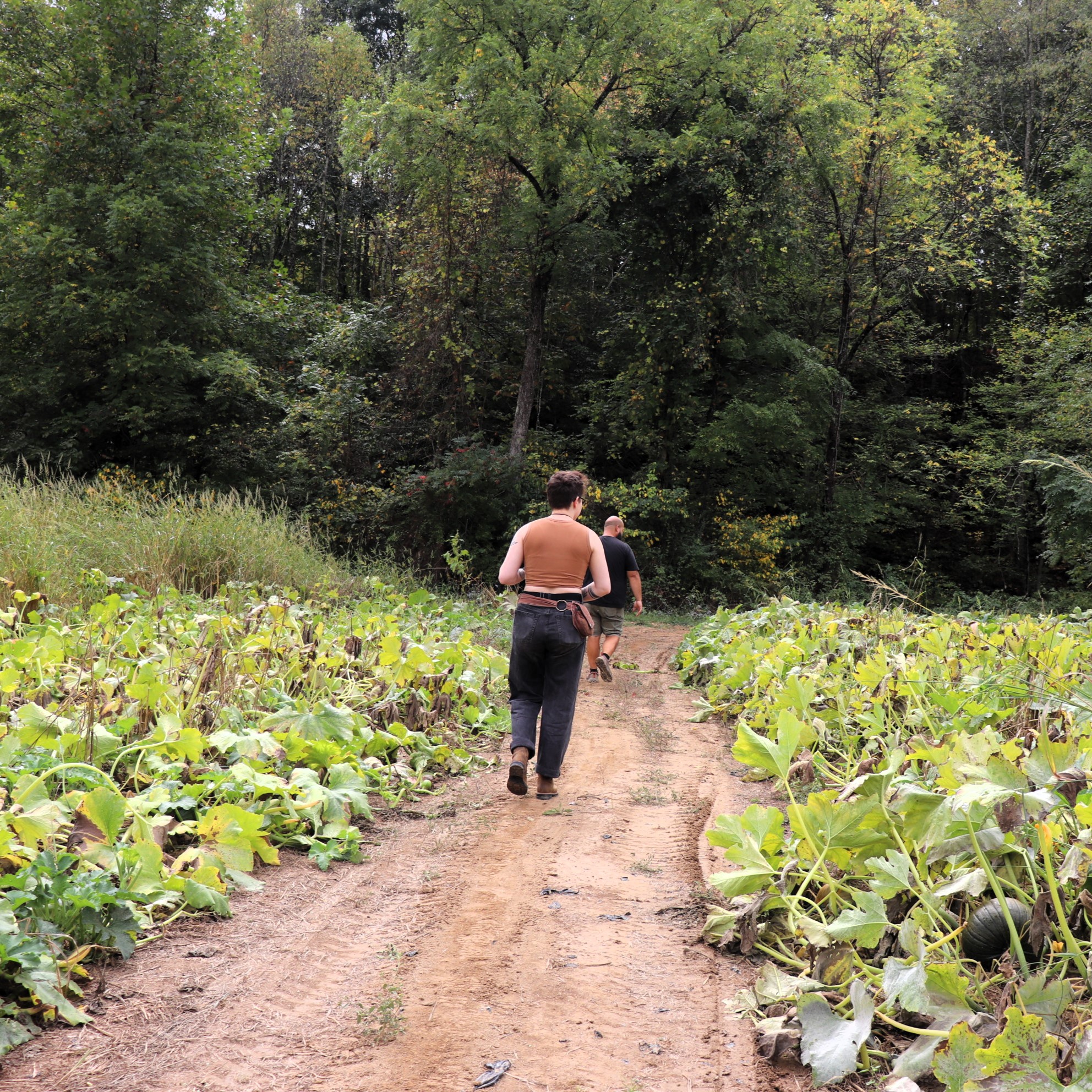 Local Farm Series: Fannin Family Farm