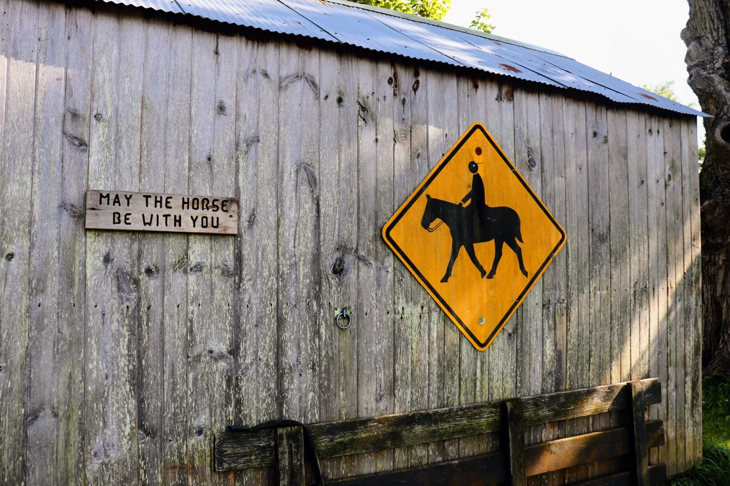 May the horse be with you.