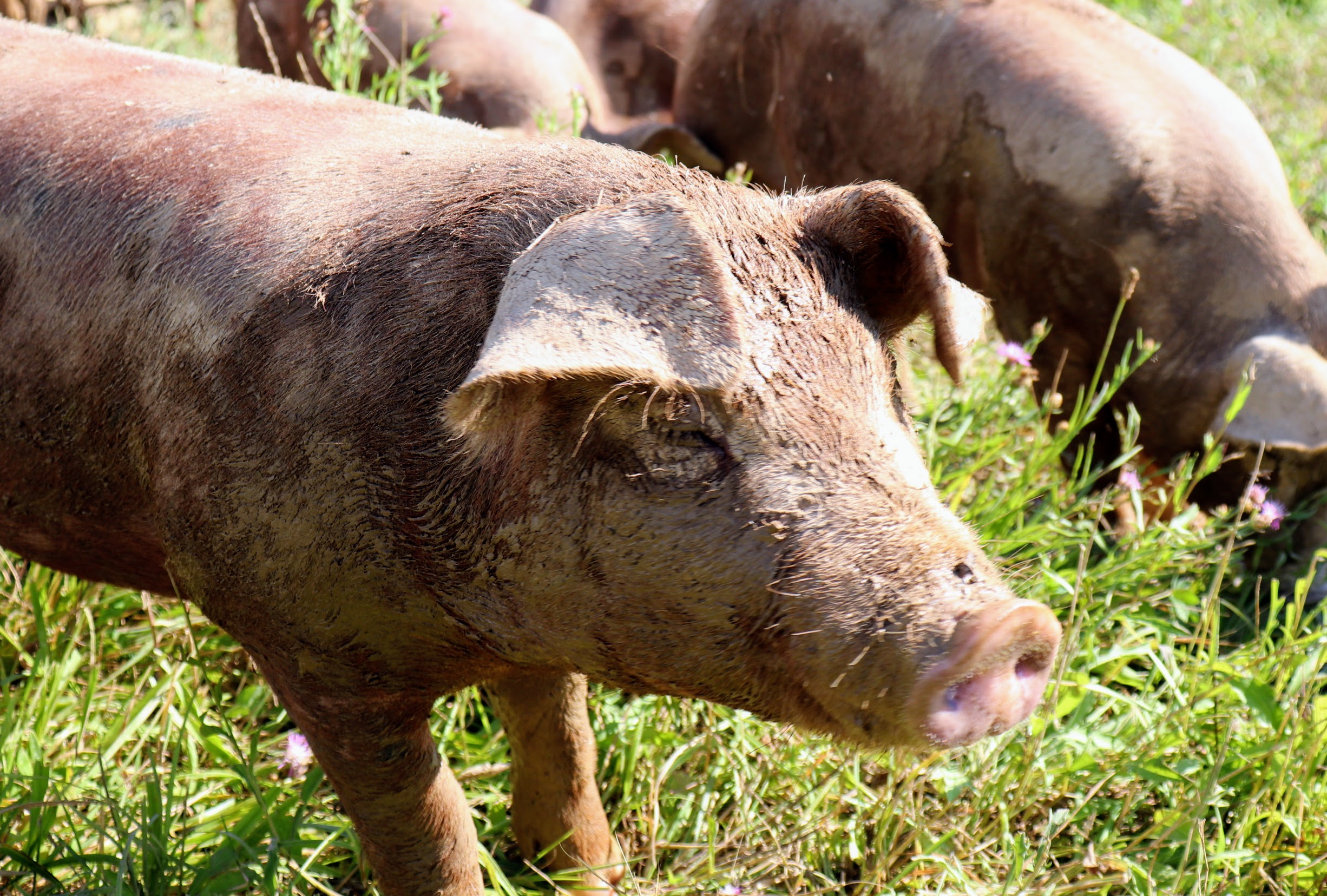 Is he winking at us?