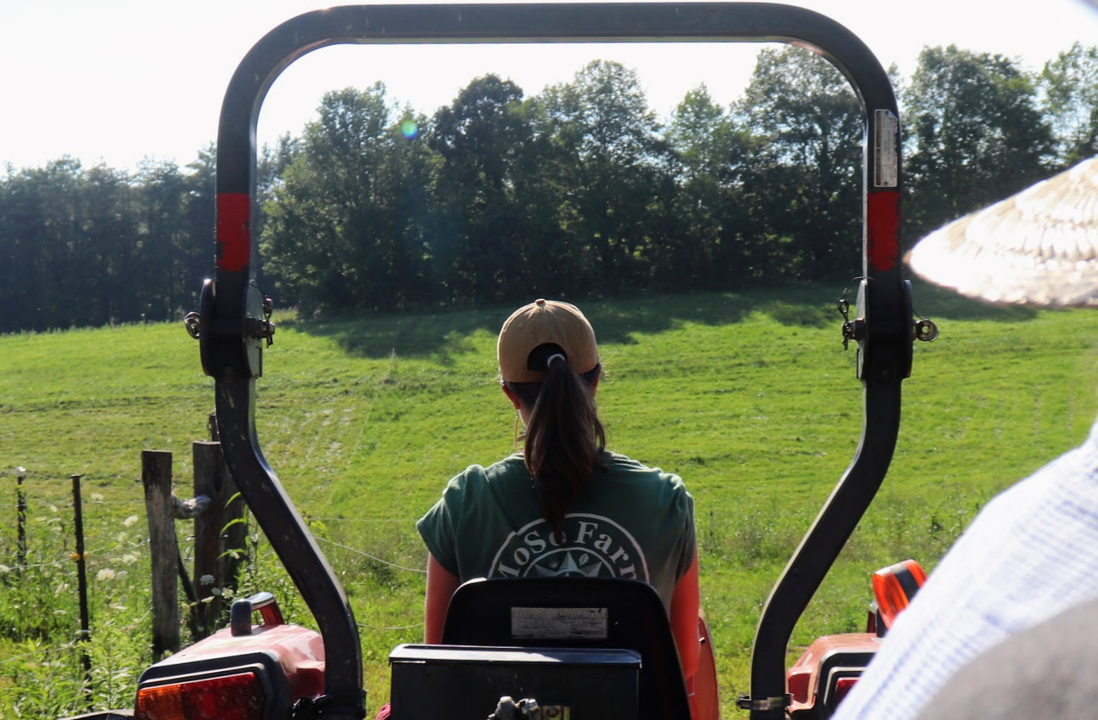 Molly driving the tractor